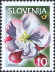 SLOVENIJA - (MI.303)  CVET JABLANE