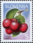 SLOVENIJA - (MI.315)  ČEŠNJA