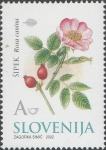 SLOVENIJA - (MI.396)  ŠIPEK