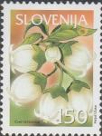 SLOVENIJA - (MI.404)  CVET BOROVNICE