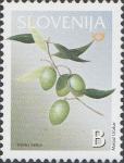 SLOVENIJA - (MI.434)  OLIVA - ISTRSKA BELICA
