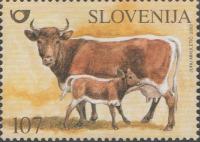 SLOVENIJA - (MI.439)  GOVEDO