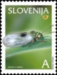 SLOVENIJA - (MI.548)  HRUŠEVA BOLŠICA