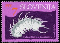SLOVENIJA - (MI.60)  JAMSKI JEŽEK