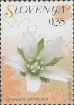 SLOVENIJA - (MI.617)  DINARSKA SMILJKA