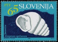 SLOVENIJA - (MI.63)  JAMNIČAR
