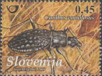 SLOVENIJA - (MI.738)  MOČVIRSKI KREŠIČ