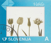 SLOVENIJA - (MI.752)  OSEBNA ZNAMKA "A"