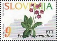 SLOVENIJA - (MI.82)  PRIMULA
