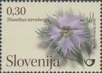 SLOVENIJA - (MI.843)  STERNBERGOV NAGELJČEK
