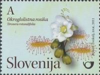 SLOVENIJA - (MI.886)  OKROGLOLISTNA ROSIKA