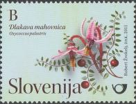 SLOVENIJA - (MI.887)  DLAKAVA MAHOVNICA