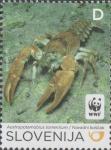 SLOVENIJA  - (MI.907)  NAVADNI KOŠČAK