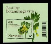 Znamke Slovenija 2012 - blok rastlinstvo Kranjska bunika