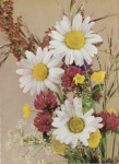 10 razglednic-cvetje neposlane odlično ohranjene komplet za 4 evra
