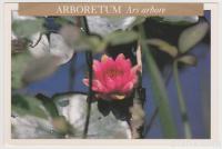 Arboretum Volčji potok Lokvanjev cvet Radomlje