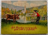 BOHINJ KRAVJI BAL RAZGLEDNICA RAZGLEDNICE