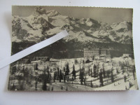 BOHINJ- VOGEL