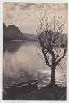 Bohinjsko jezero 1946 poslana 1947