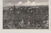 BREŽICE