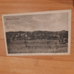 BUČE PRI KOZJEM