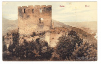 Celje grad
