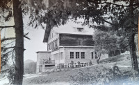 CELJSKA KOČA-FOTO PELIKAN-CELJE-ČISTA