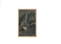 Cojzova koča na Kokrškem sedlu-1951 (85/a)