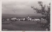 ČRNOMELJ 1936 - Panorama