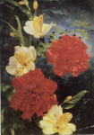 Cvetja-5 razglednic neposlanih in odlečno ohranjenih v kompleti za 2 e