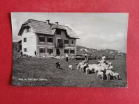 Dom na Uršlji gori.Ovce