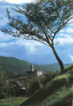 Hrastovlje-Neposlana kot nova