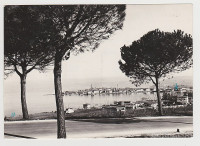 Izola 1957