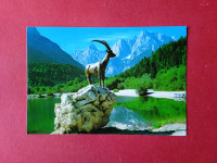 Jasna.Kranjska Gora.Bronast kip, gams