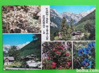 Kamniška Bistrica 1977 Dom in cvetje potovana razglednica
