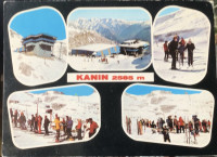 Kanin,neposlana