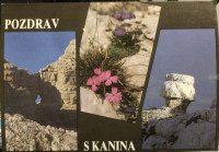Kanin-neposlana-žigi,odlično ohranjena