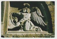 Koper ANGEL, KI PRIDRŽUJE ŠČIT