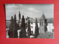 Koper.Ciprese