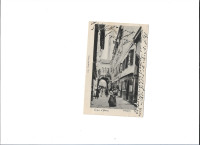 Koper-galerija-1904 (384)