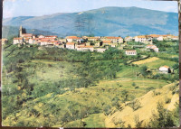 Kozjane v brkinih poslana 1977