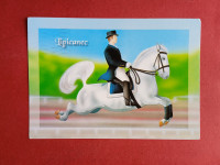 Lipicanec.jezdec.Konj