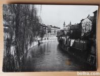 LJUBLJANA Ob Ljubljanici 1960 potovana razglednica
