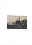Maribor vinogradniška šola-1917  (61)
