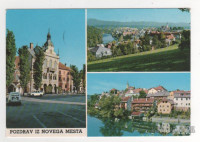 NOVO MESTO - Na treh slikicah, fičko