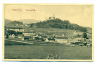 Mokronog 1914, potovala
