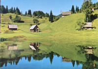 Motiv s Koprivnika Transverzala ITC Pokljuka,neposlana