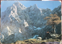 Ojstrica in Škarje-žigi-neposlana