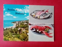 Portorož,ribe,jastog