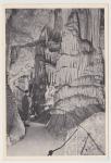 Postojnska jama, Postojna 1947